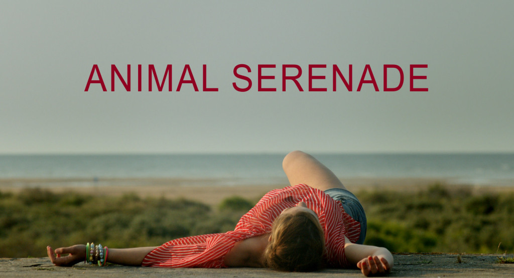 Animal Serenade